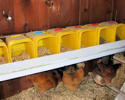 tractor supply chicken nesting box